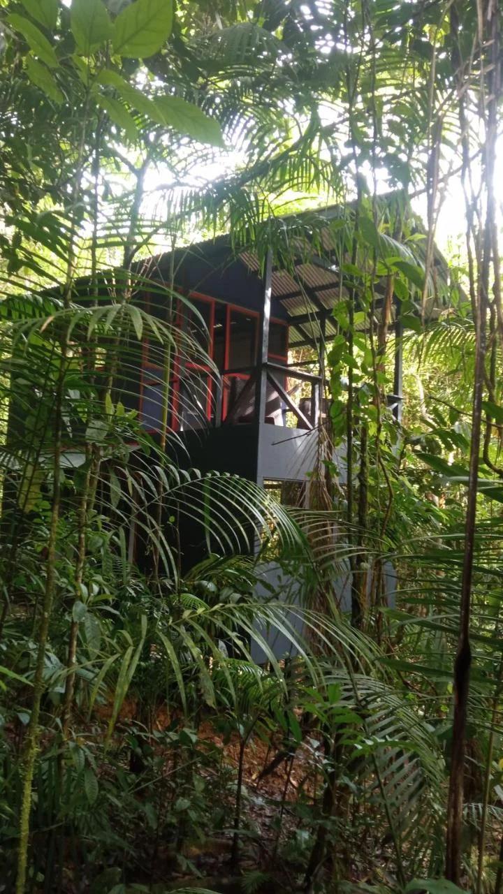 Yatama Rainforest Ecolodge photo