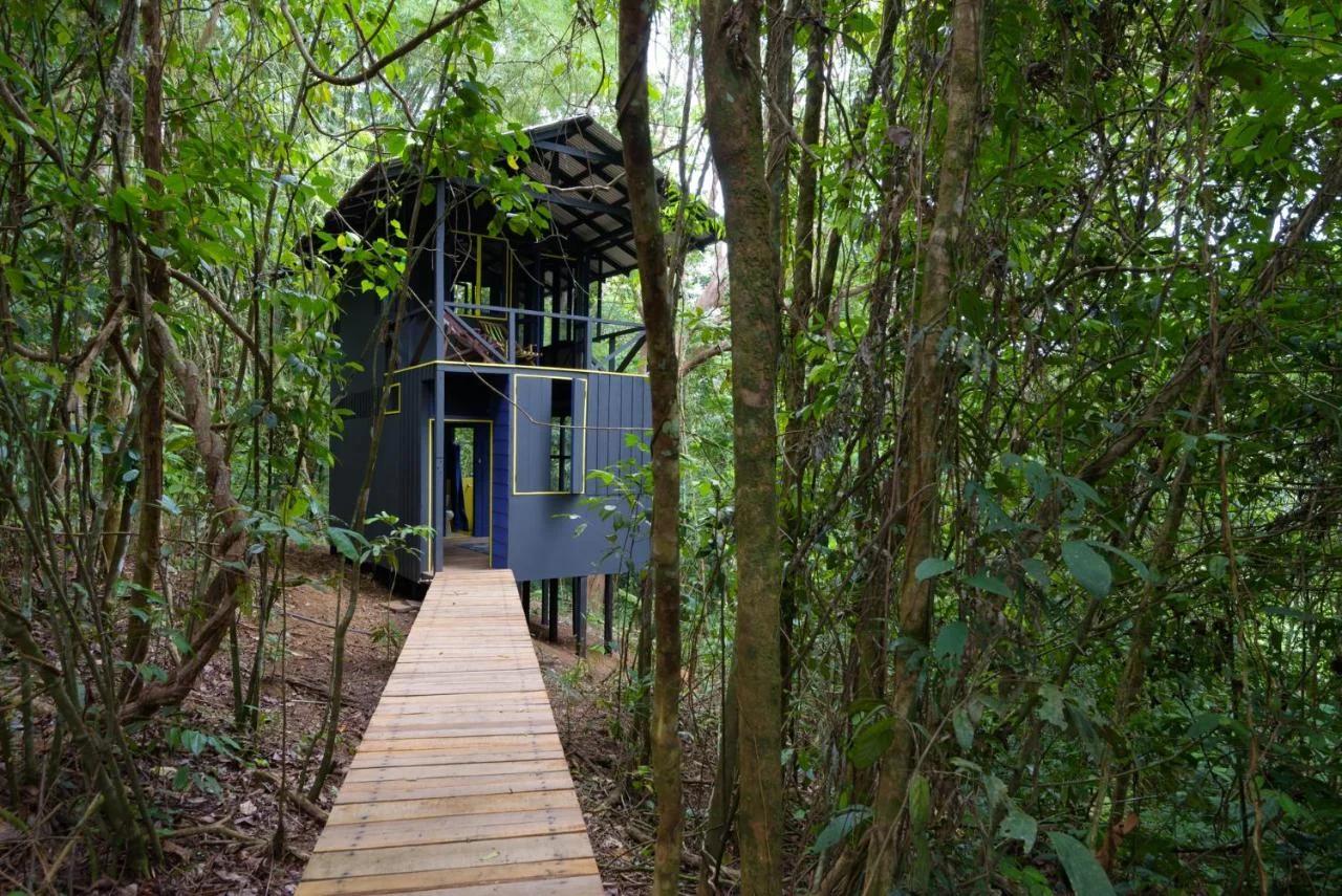 Yatama Rainforest Ecolodge photo