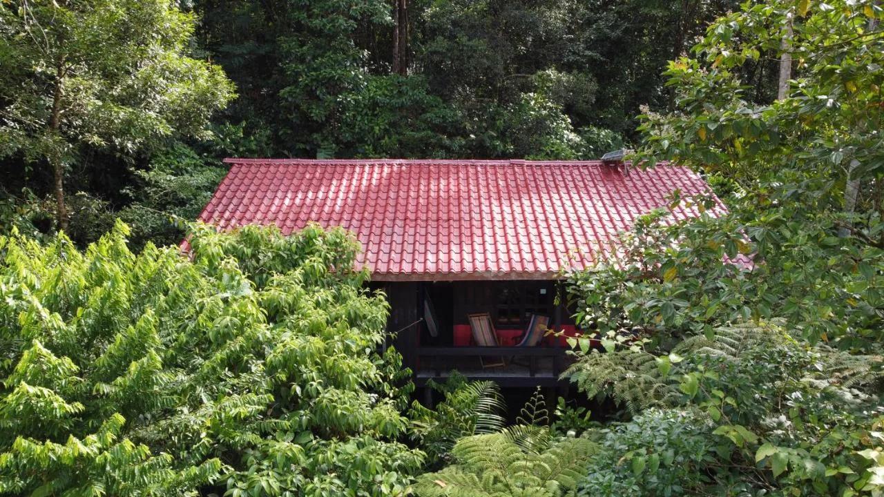 Yatama Rainforest Ecolodge photo