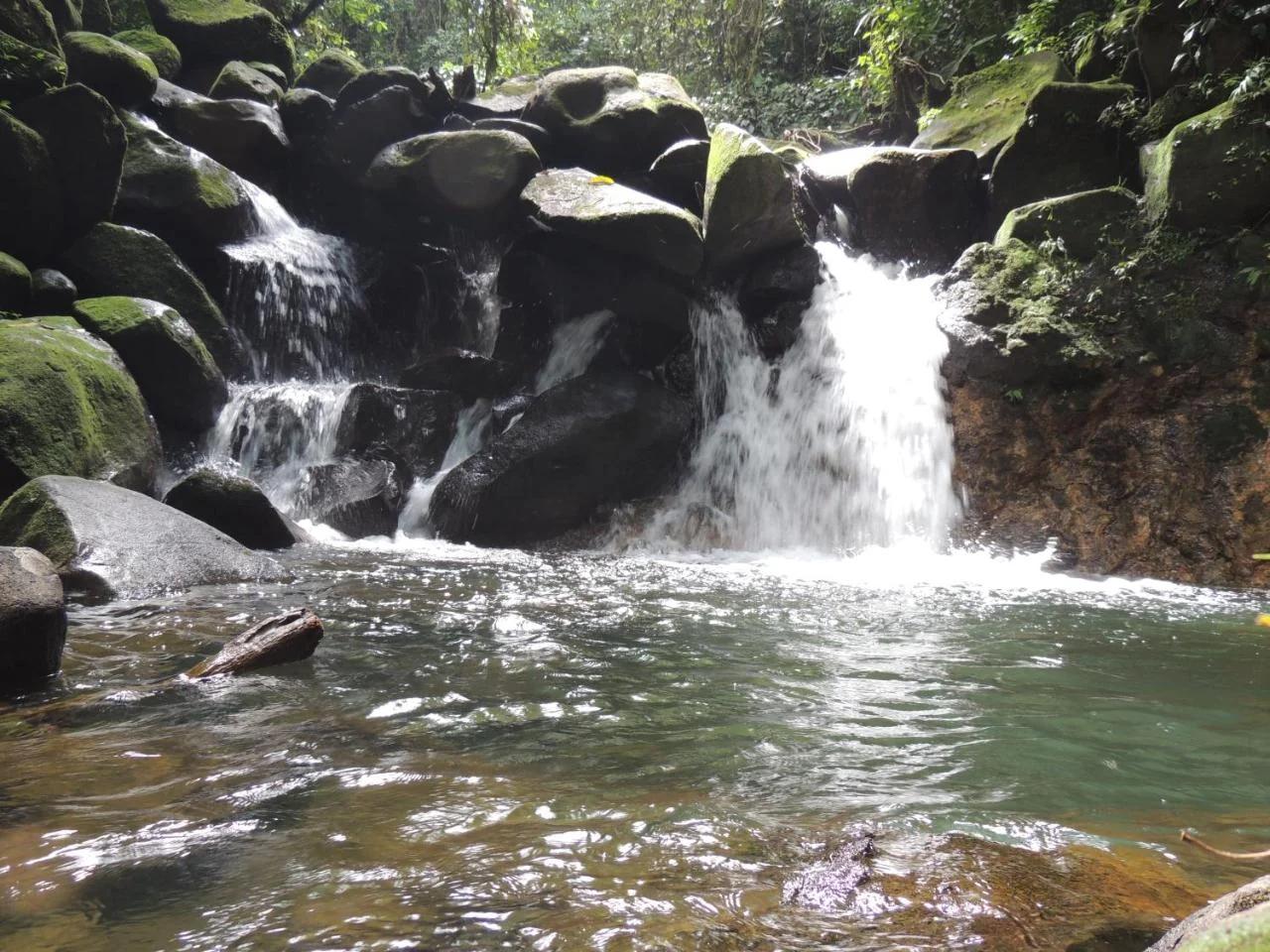 Yatama Rainforest Ecolodge photo