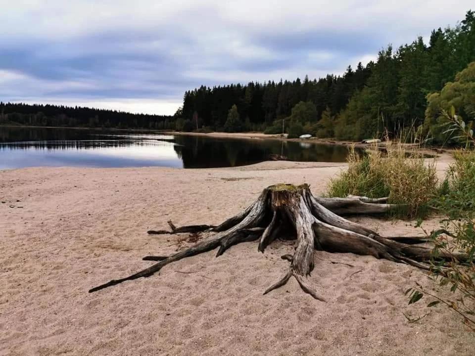Apartmán Lipno - Kovářov pro cyklisty a motorkáře photo