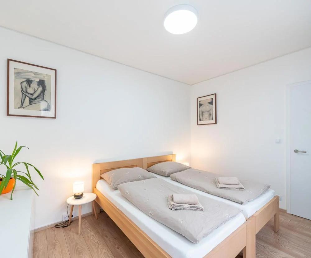 New apartment near the centre of Brno photo