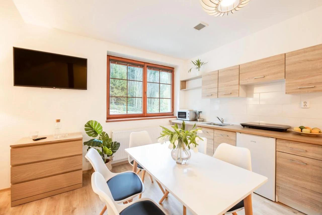 Úpatí Ještědu - apartmány foto