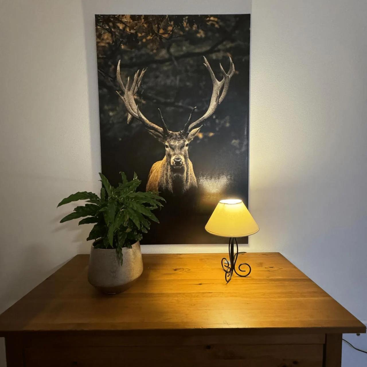 Ferienwohnung Auf Der Höll photo