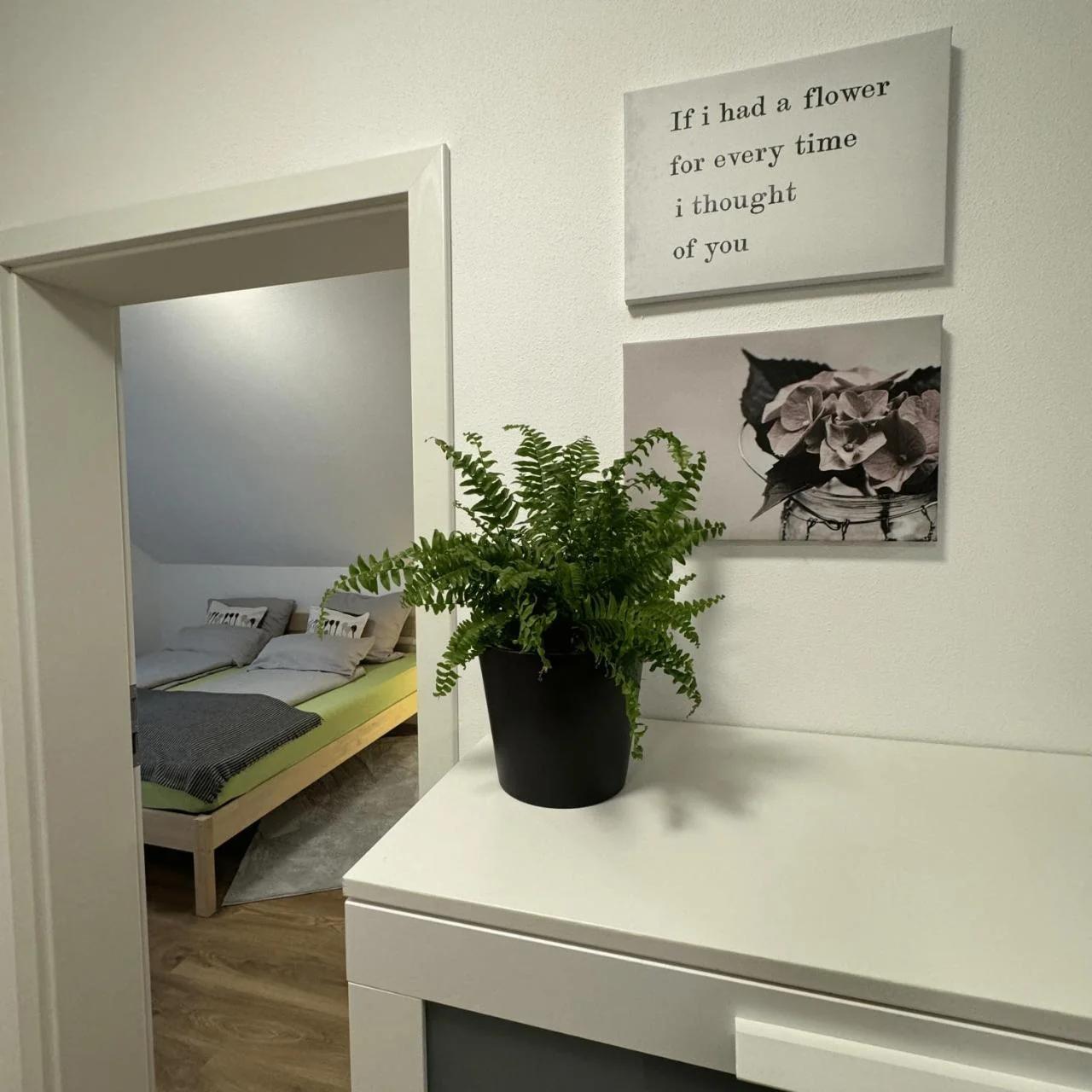 Ferienwohnung Auf Der Höll photo