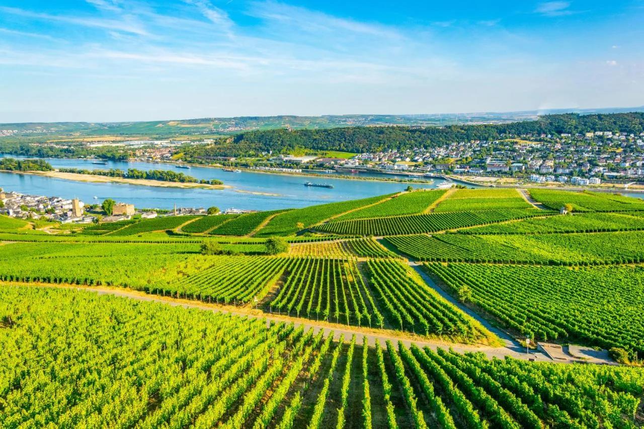 LaBed - Exklusives Wohnen im Weingut, zentral und stilvoll photo