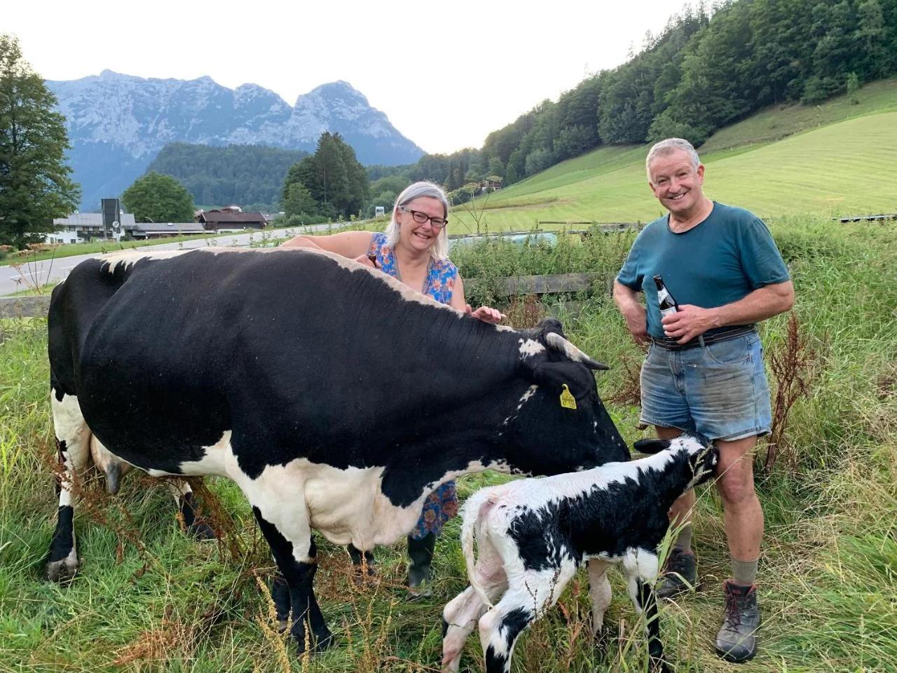 Mayringerlehen photo