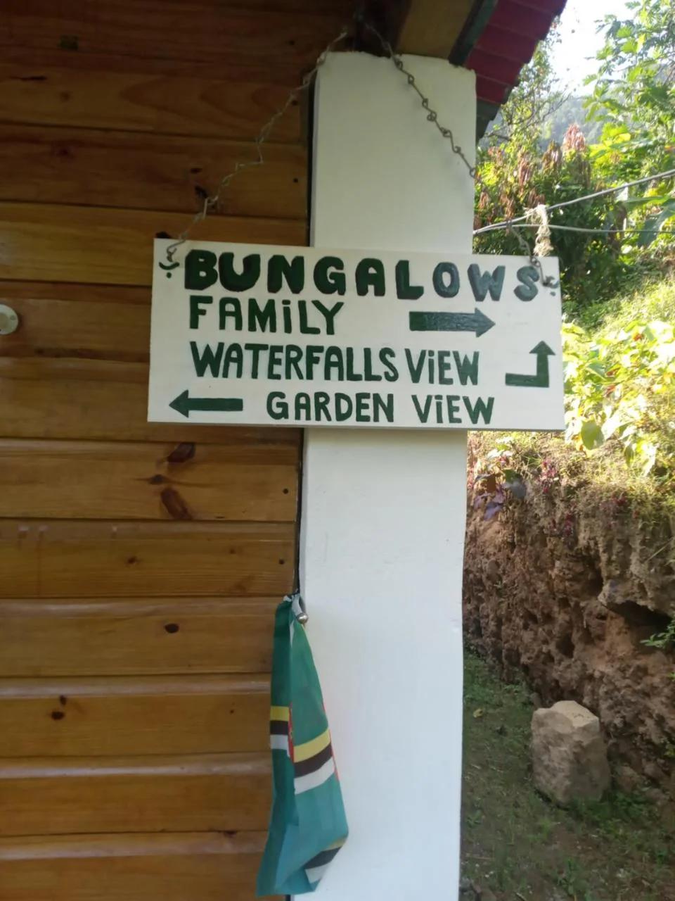 Berkey's Jungle Paradise Resort photo