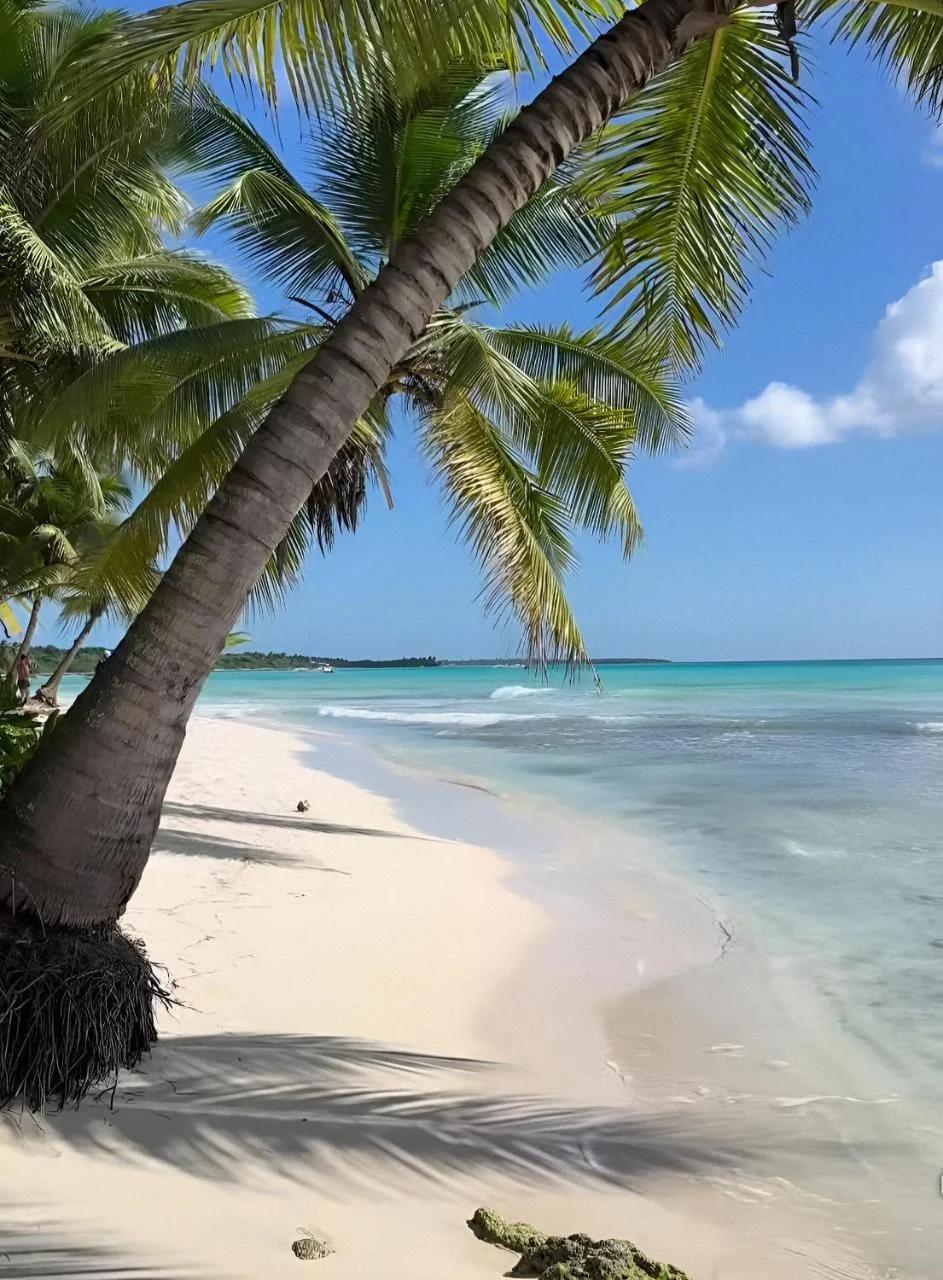 Hotel ARUBA PUNTA CANA BEACH I