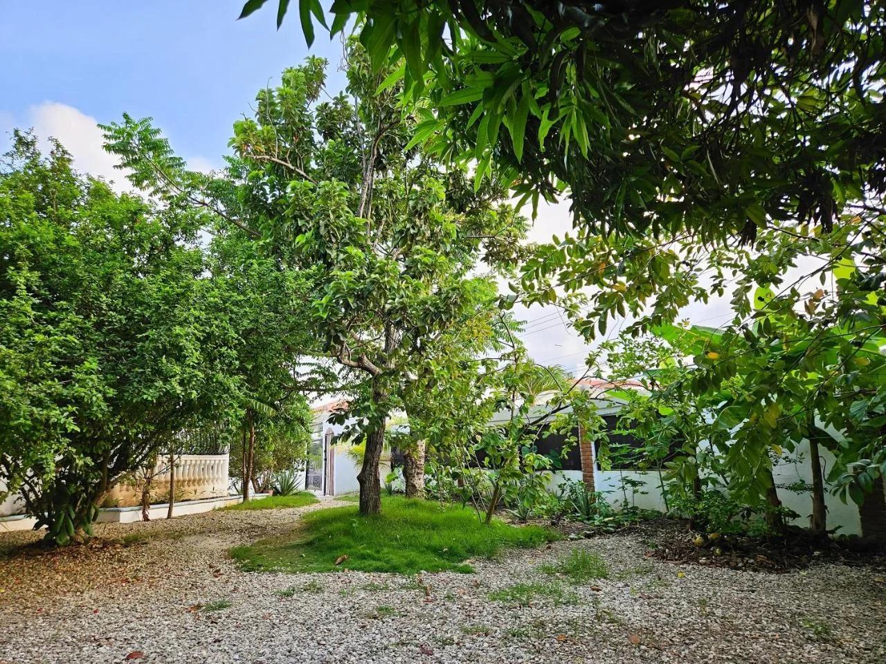 Villa completamente privada con piscina, jacuzzi y gran patio foto