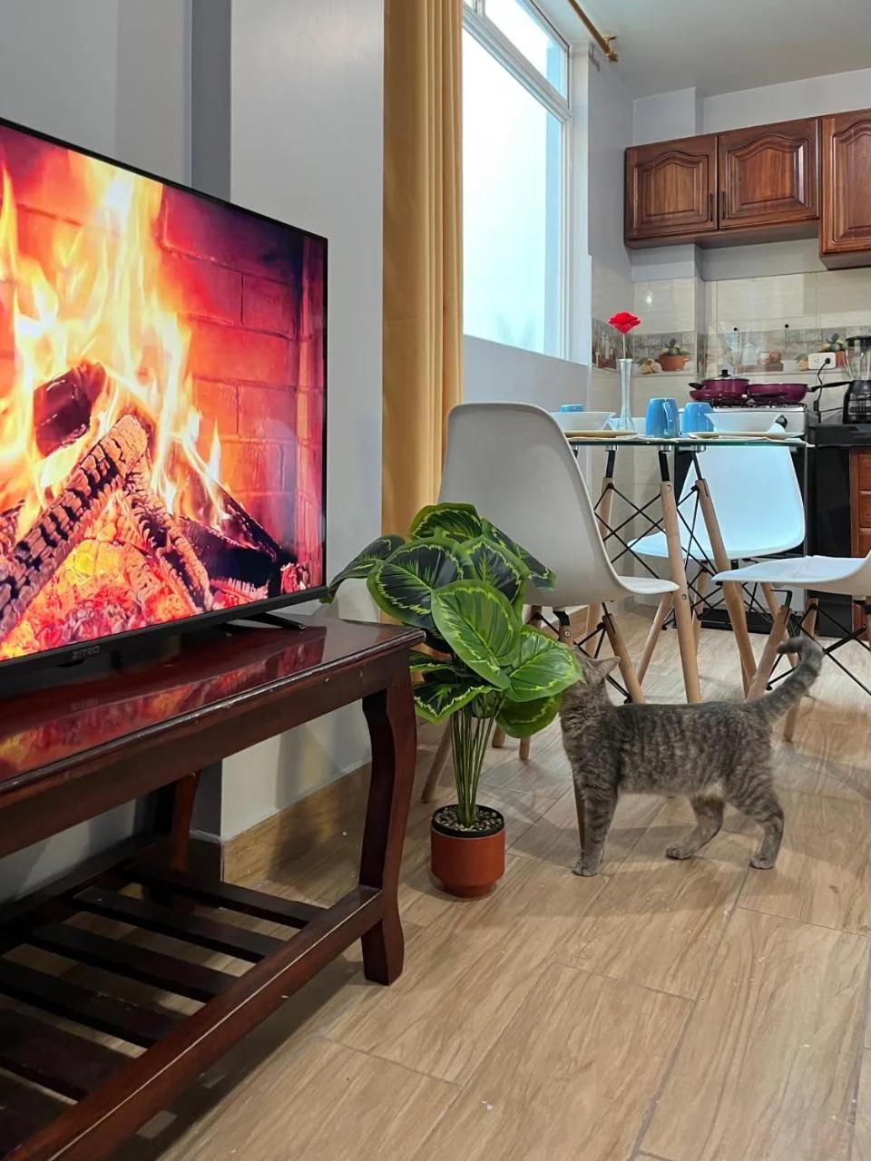 Apartamento 2 Casita Cozy Otavalo Ec