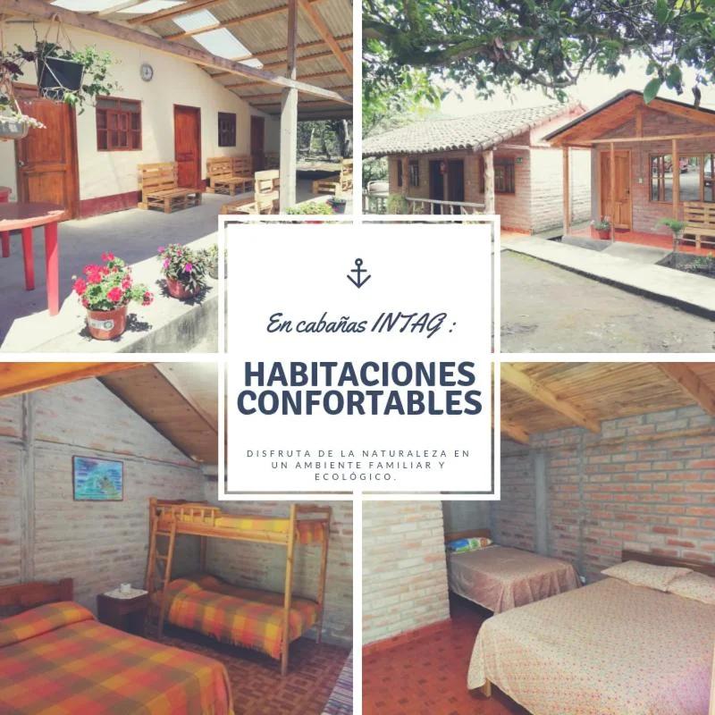 La Estancia de Intag, CABAÑAS INTAG photo