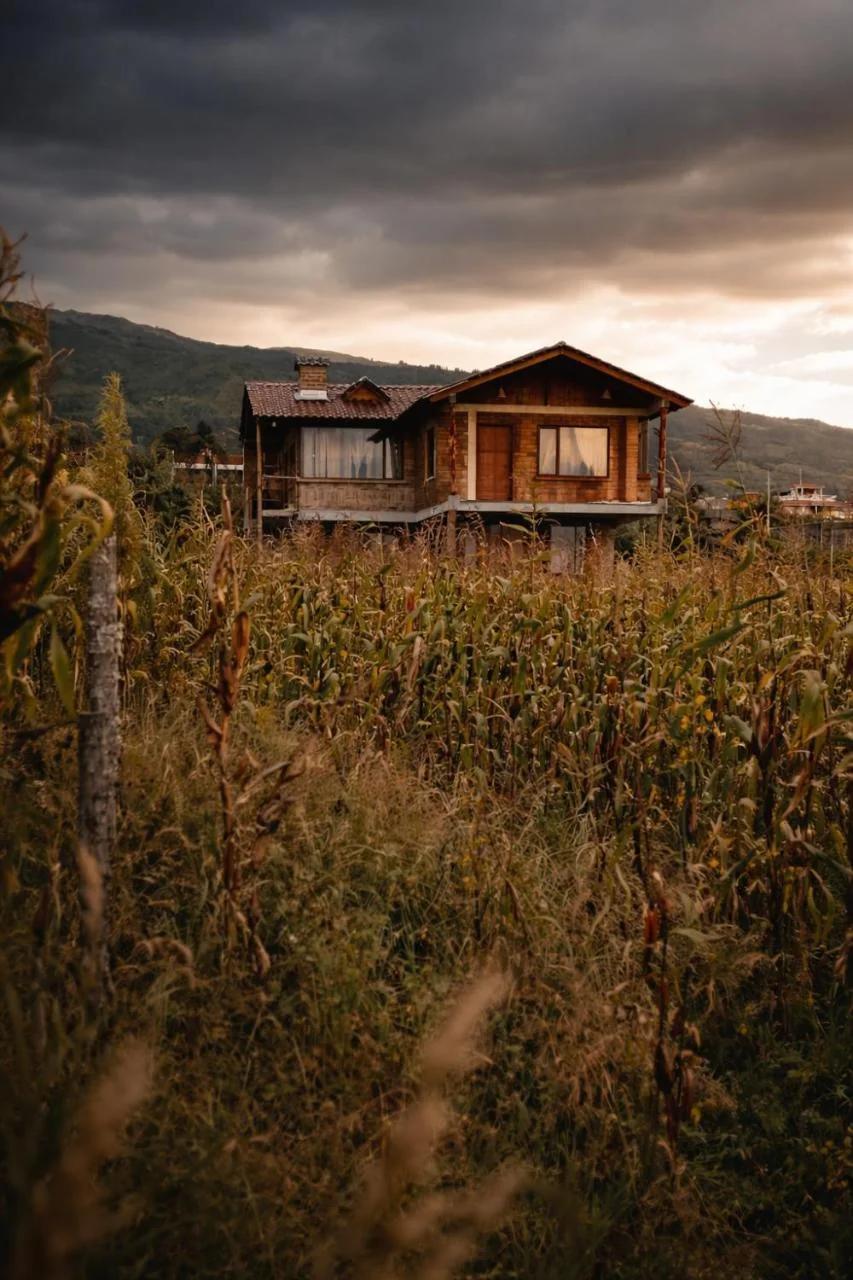Minkay-Lodge photo