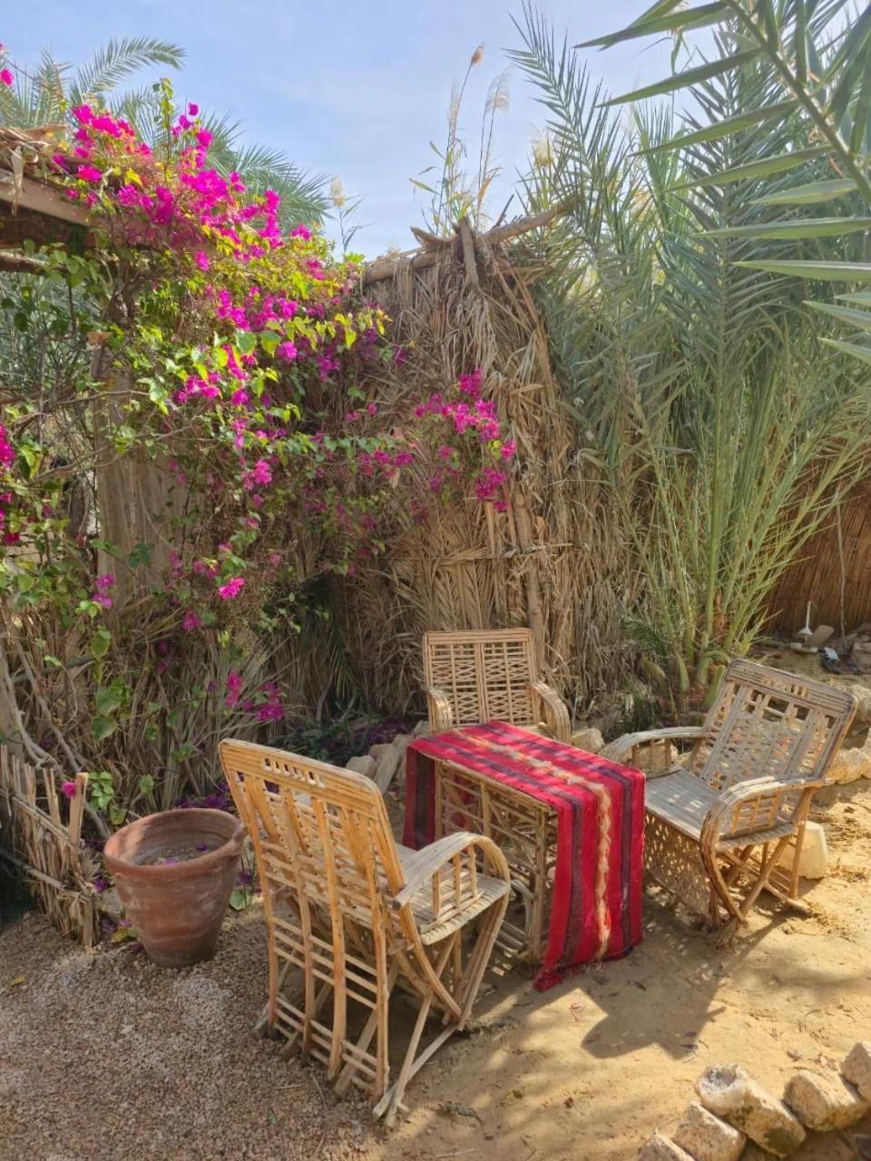 Agbenakh Gatil, Cozy Garden Home in Siwa photo