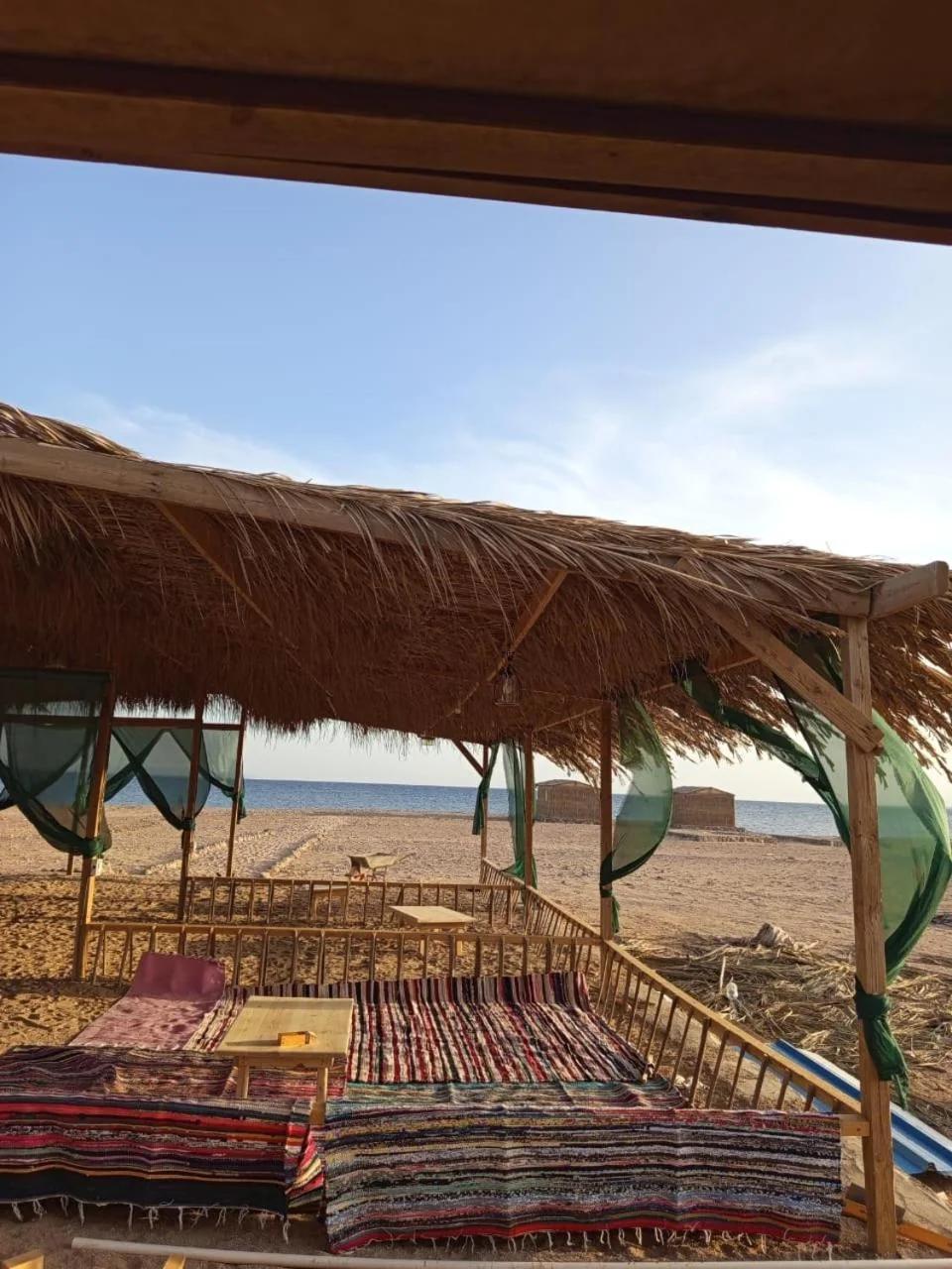 Eden Camp Abu Galum photo