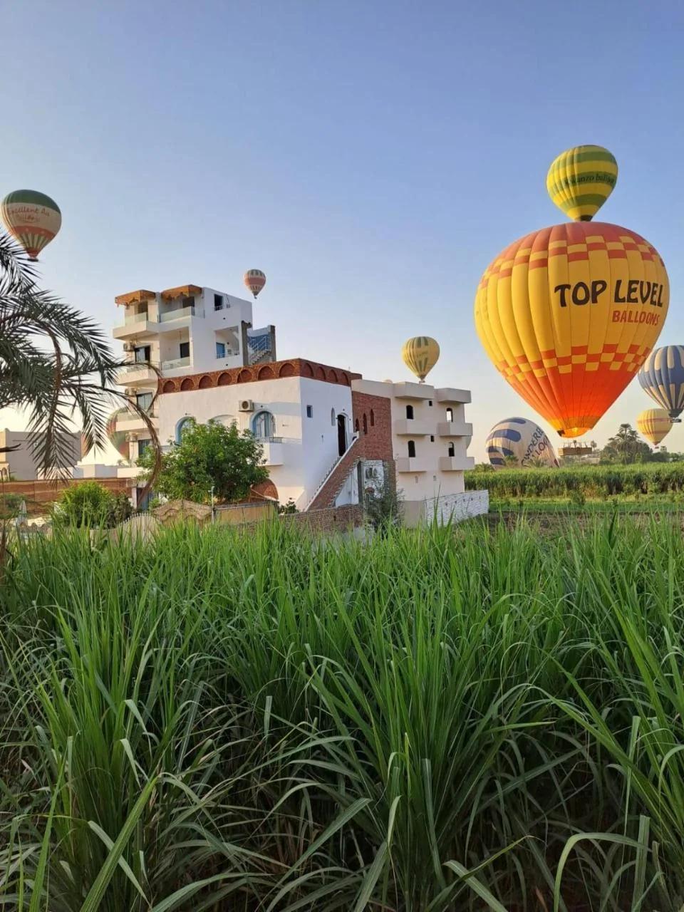 Flower Of Life Hotel