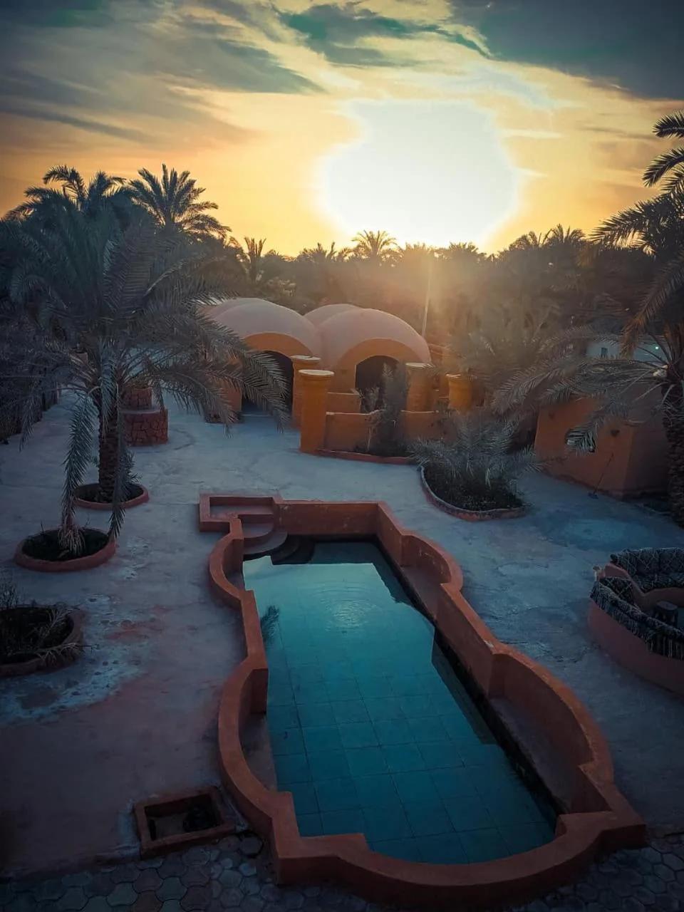 Nour El wadi photo