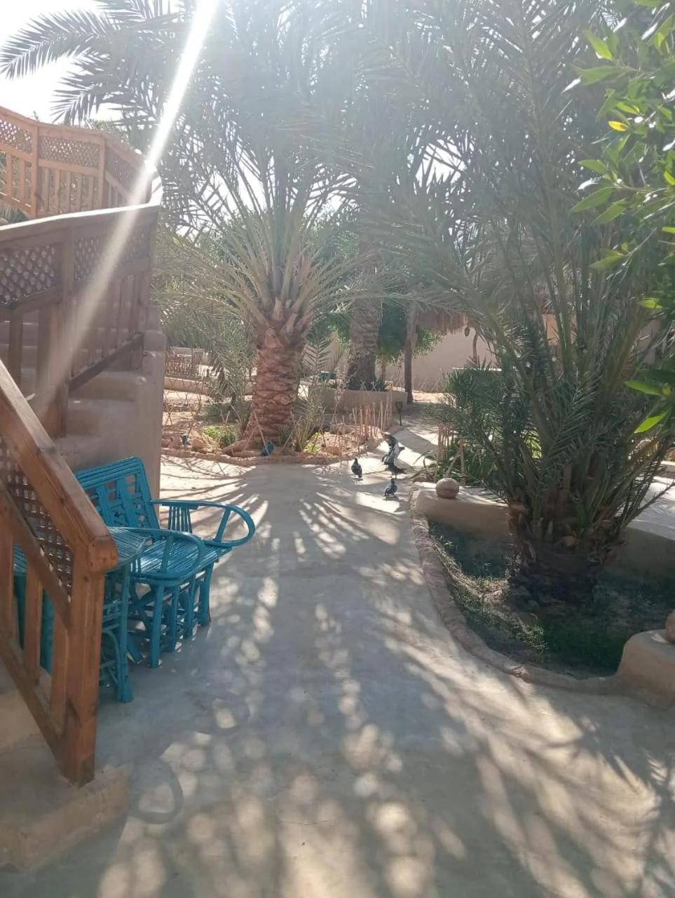 Siwa Spot - one of the best places in Siwa, with beautiful weather, pleasant sunny days, cooler peaceful nights, and a quiet oasis atmosphere perfect for rest and reflection