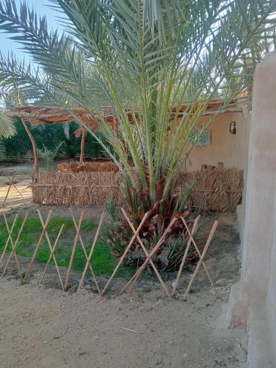 Siwa Spot - one of the best places in Siwa, with beautiful weather, pleasant sunny days, cooler peaceful nights, and a quiet oasis atmosphere perfect for rest and reflection photo