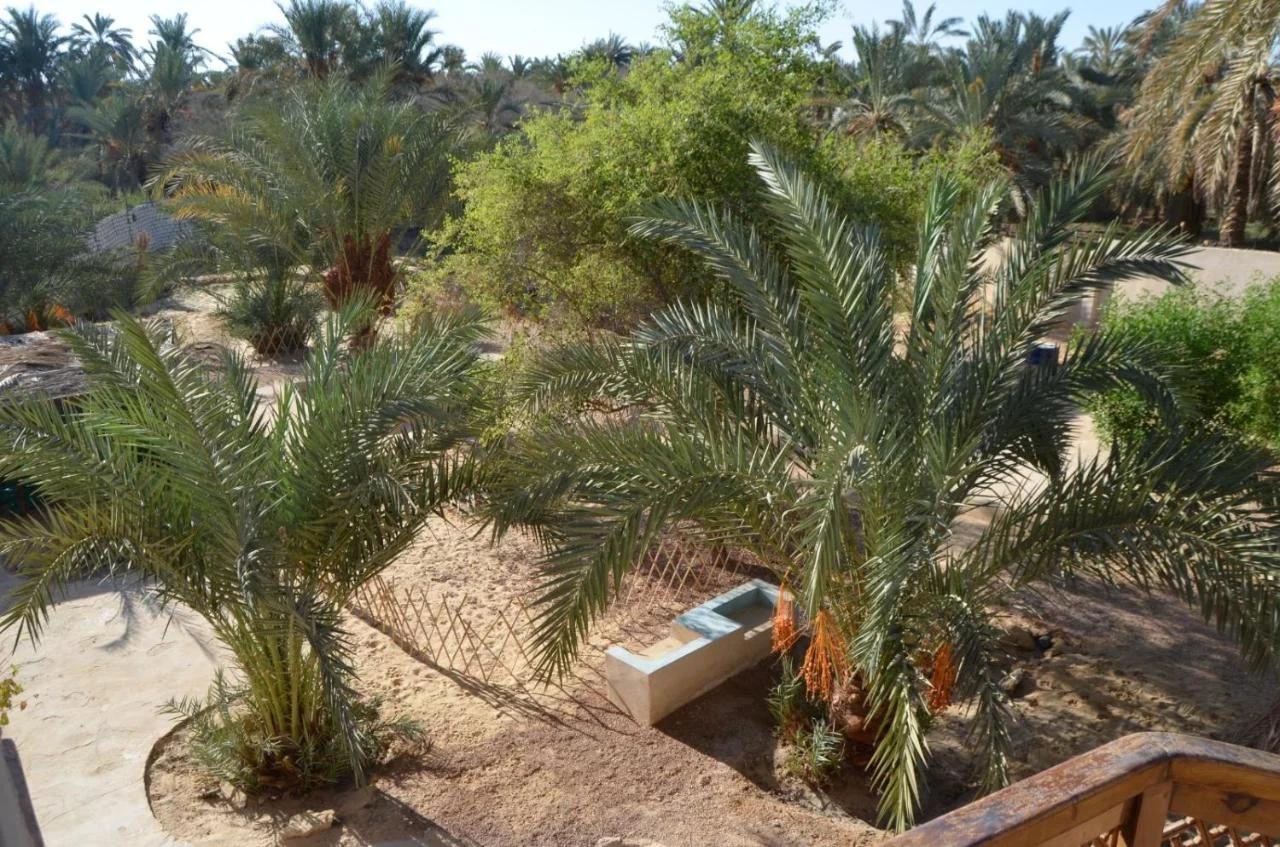 Siwa Spot - one of the best places in Siwa, with beautiful weather, pleasant sunny days, cooler peaceful nights, and a quiet oasis atmosphere perfect for rest and reflection photo