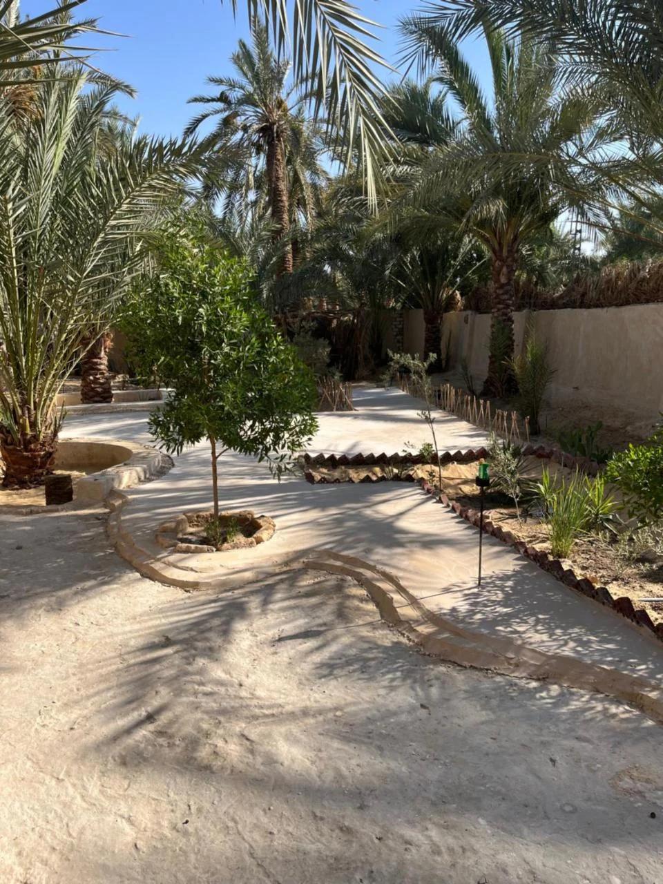 Siwa Spot - one of the best places in Siwa, with beautiful weather, pleasant sunny days, cooler peaceful nights, and a quiet oasis atmosphere perfect for rest and reflection photo