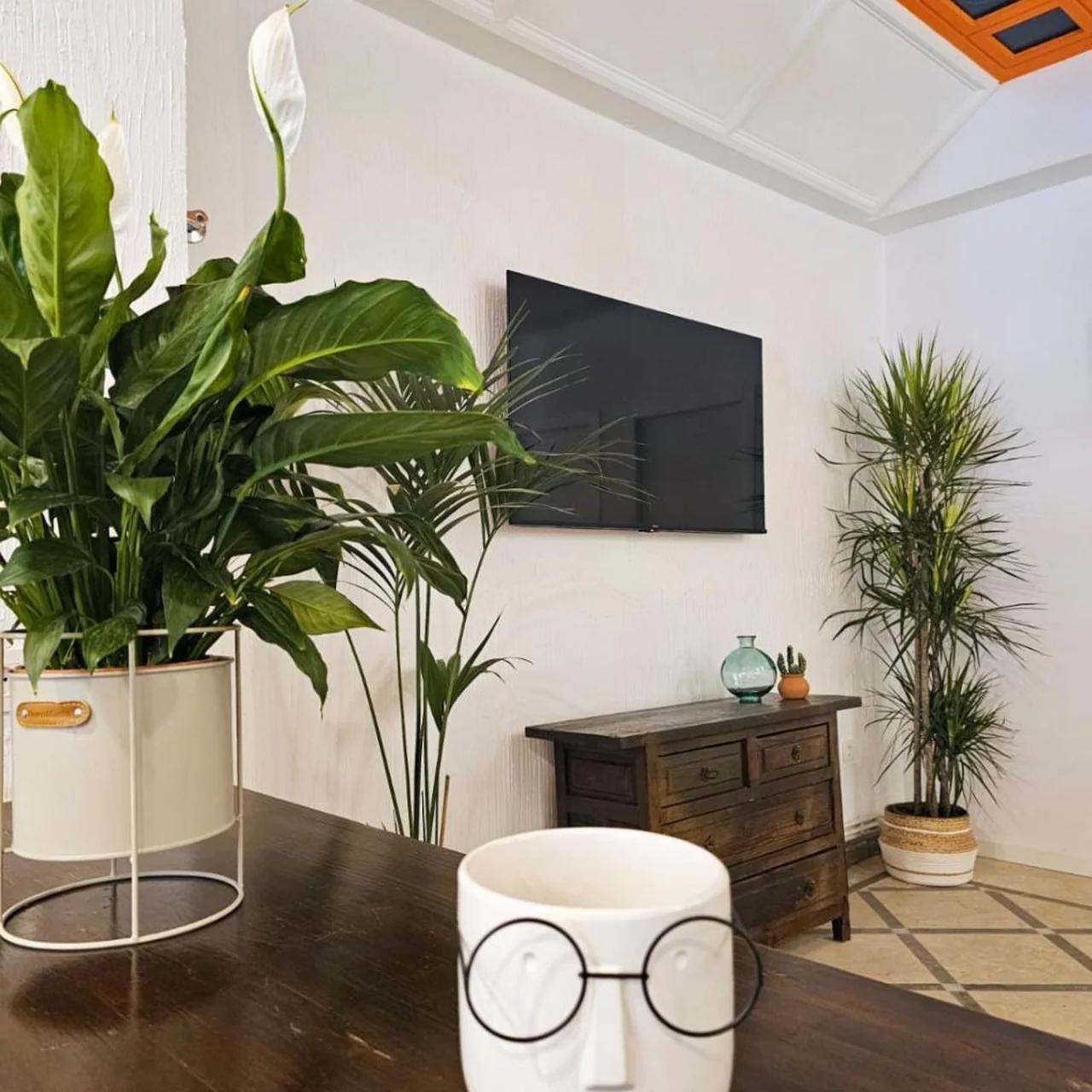 Arc House Granada photo