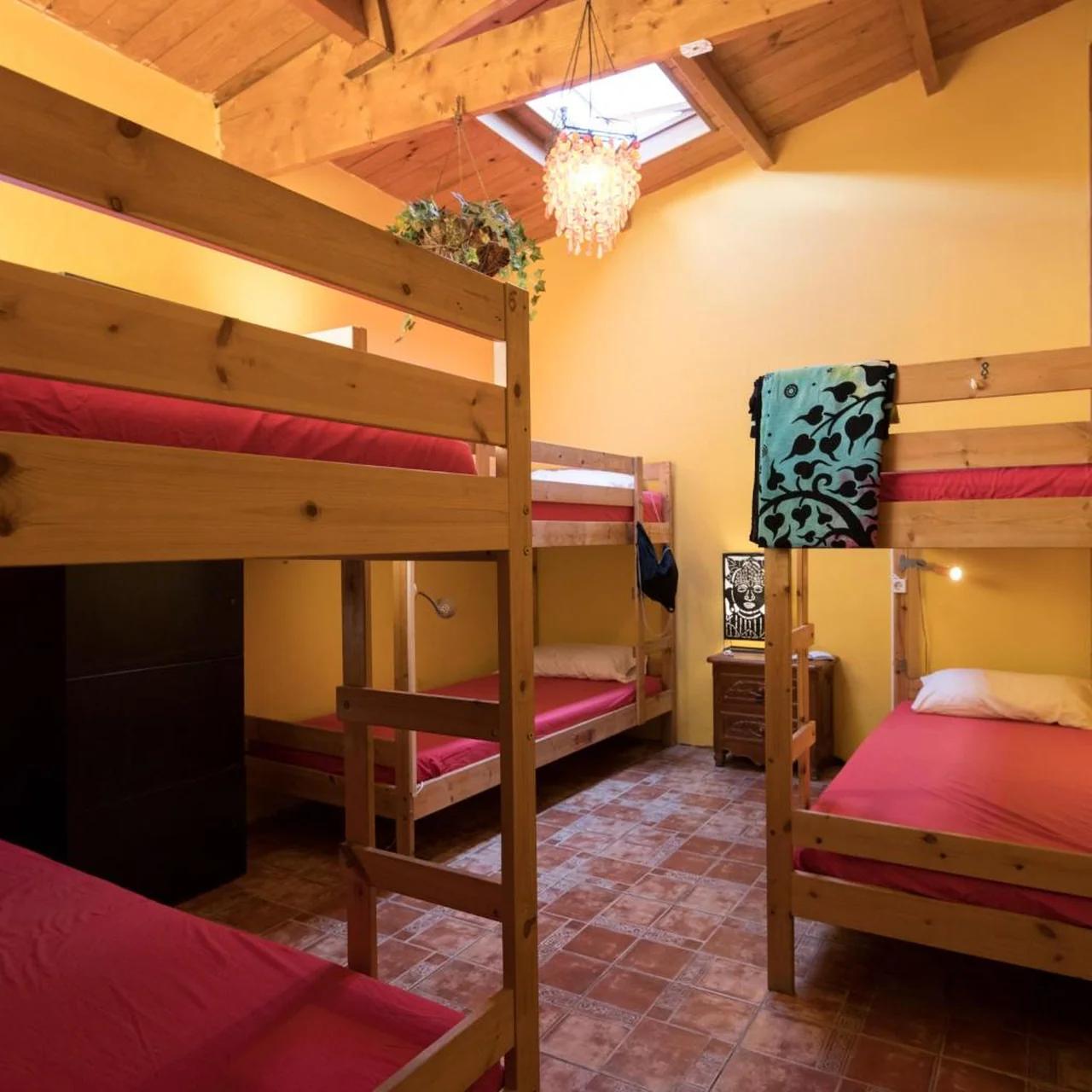 Los Amigos Nest Hostel foto