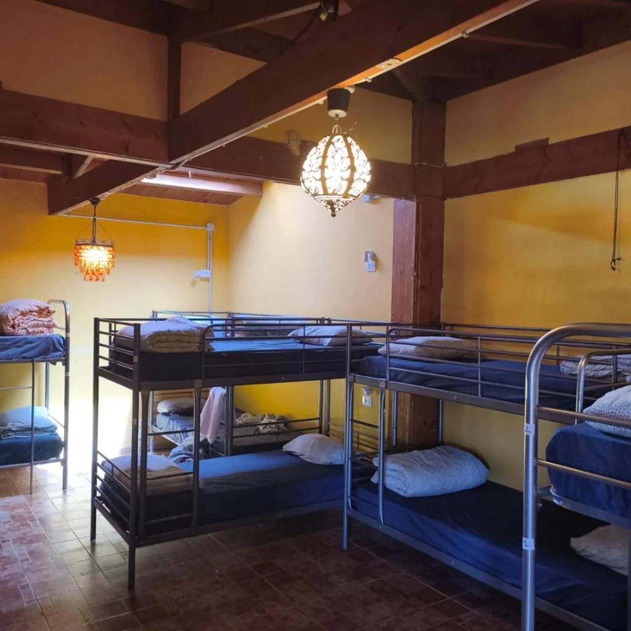 Los Amigos Nest Hostel foto