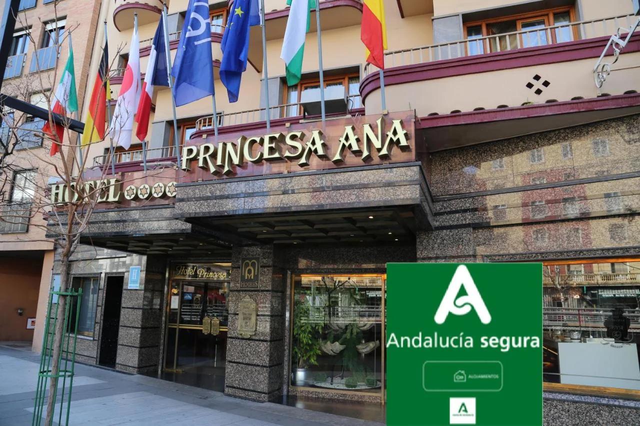 Princesa Ana foto