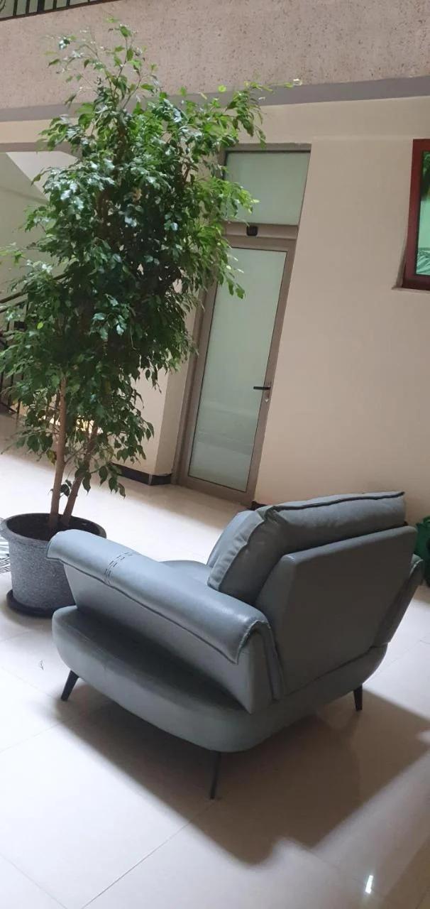 Hibr tsega hotel photo