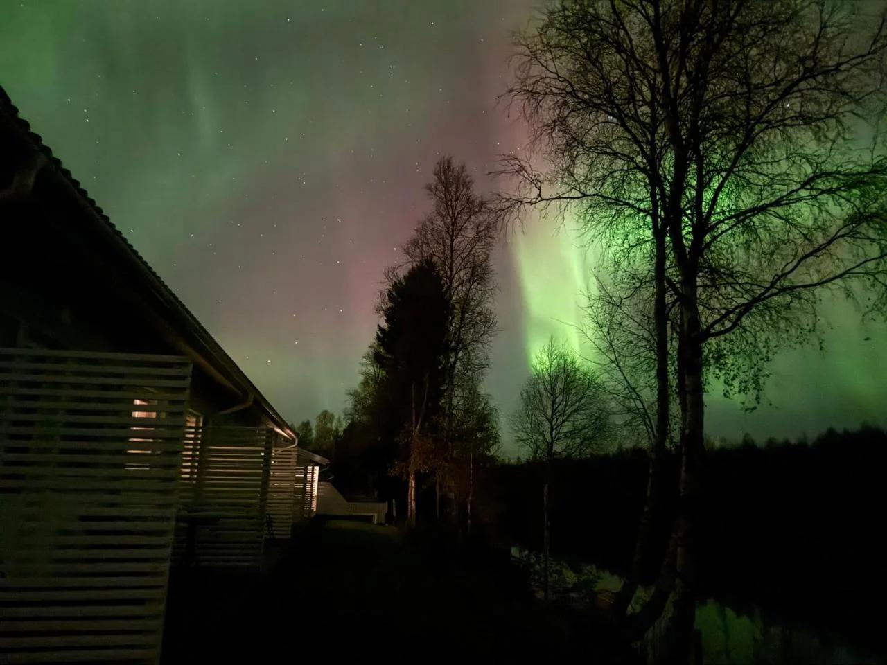 Arctic Resort Delight
