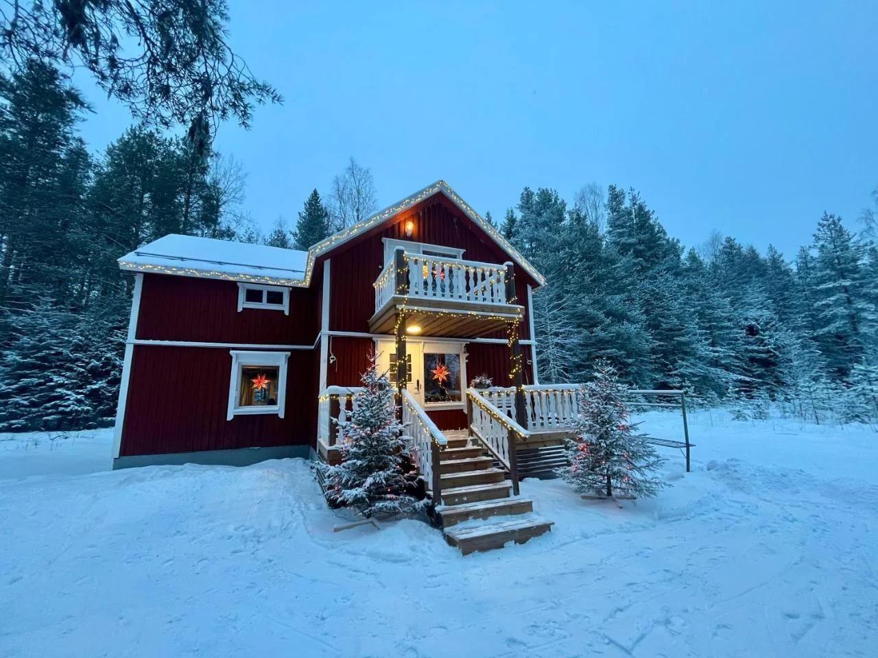 Art House of Lady Christmas photo