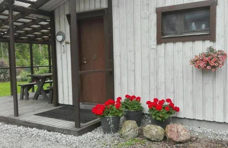 Läeahon Omena Holiday house in the middle of nature photo