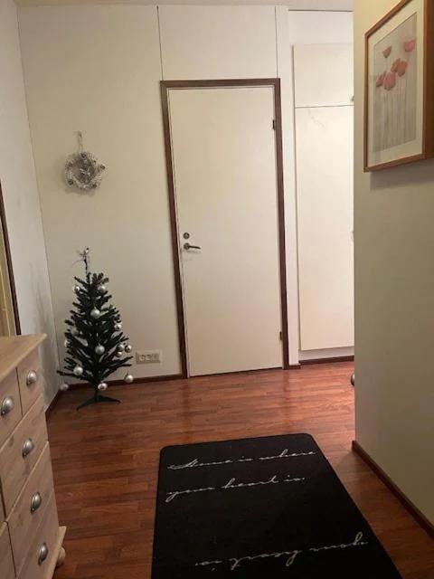 Two room apartment with a private sauna from the center photo