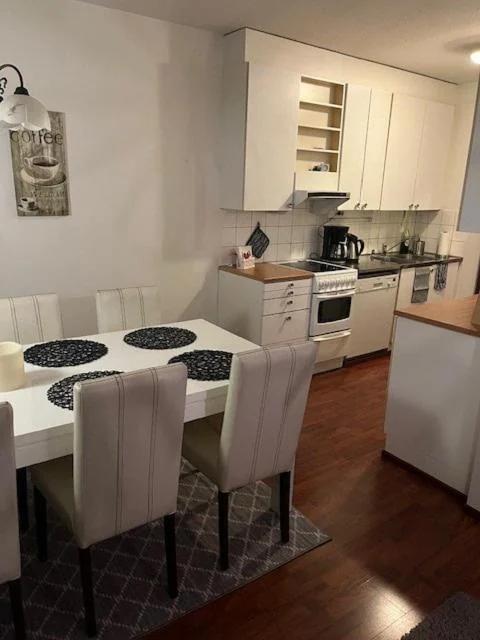 Two room apartment with a private sauna from the center photo