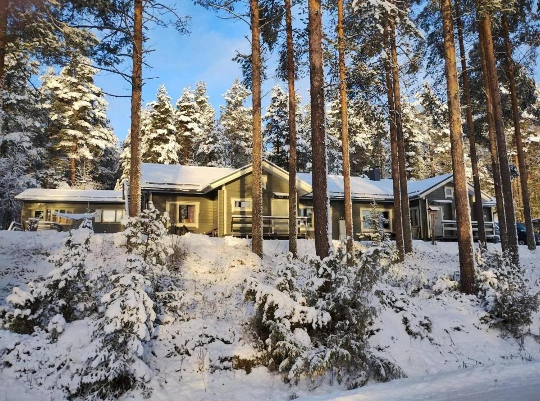 Villa Aleksi with Sauna