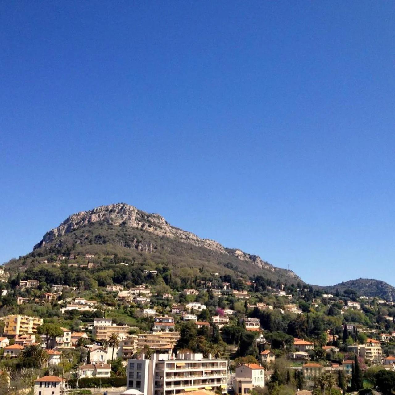 Logis Hotel Diana photo