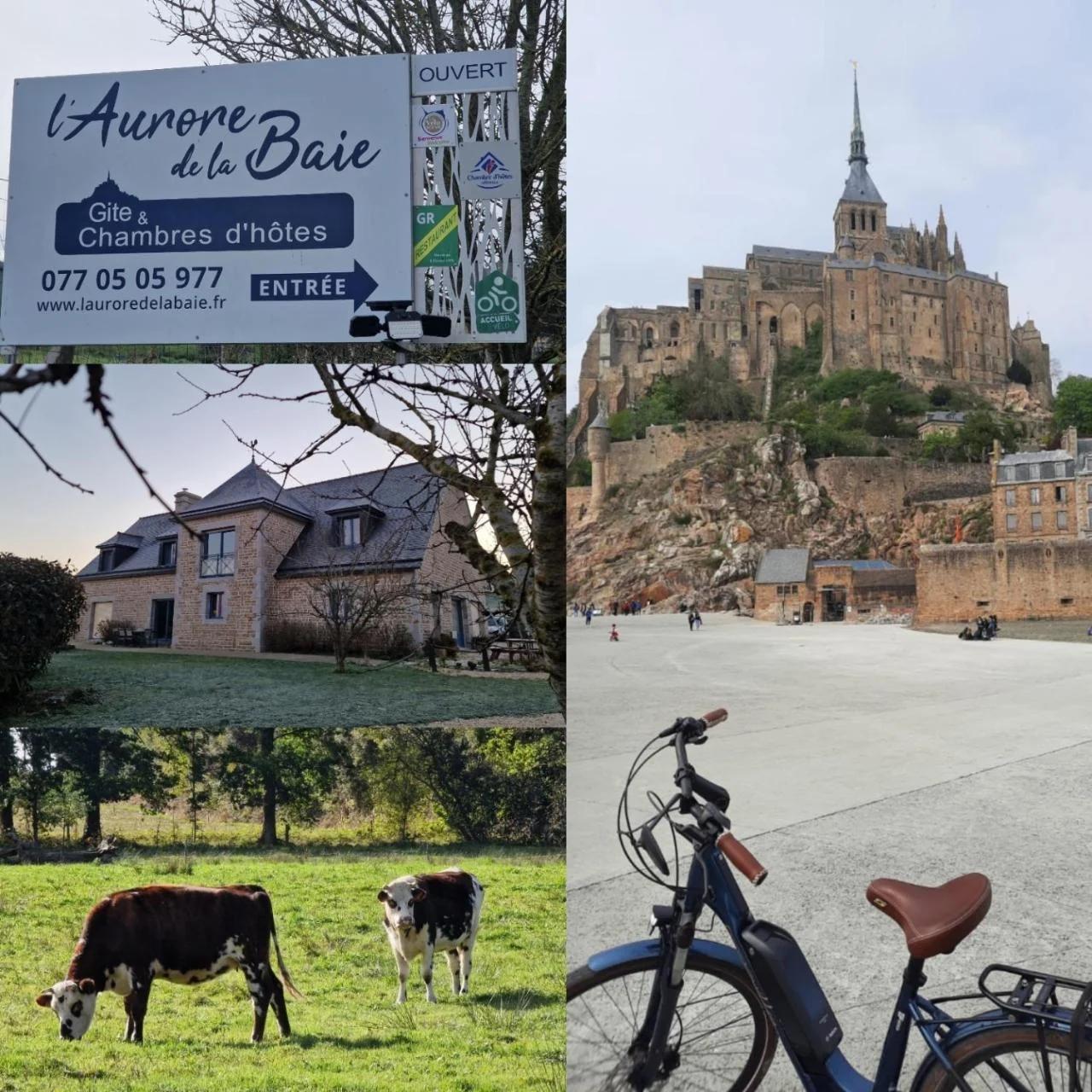 L'Aurore de la Baie, vue sur le Mont-Saint-Michel photo