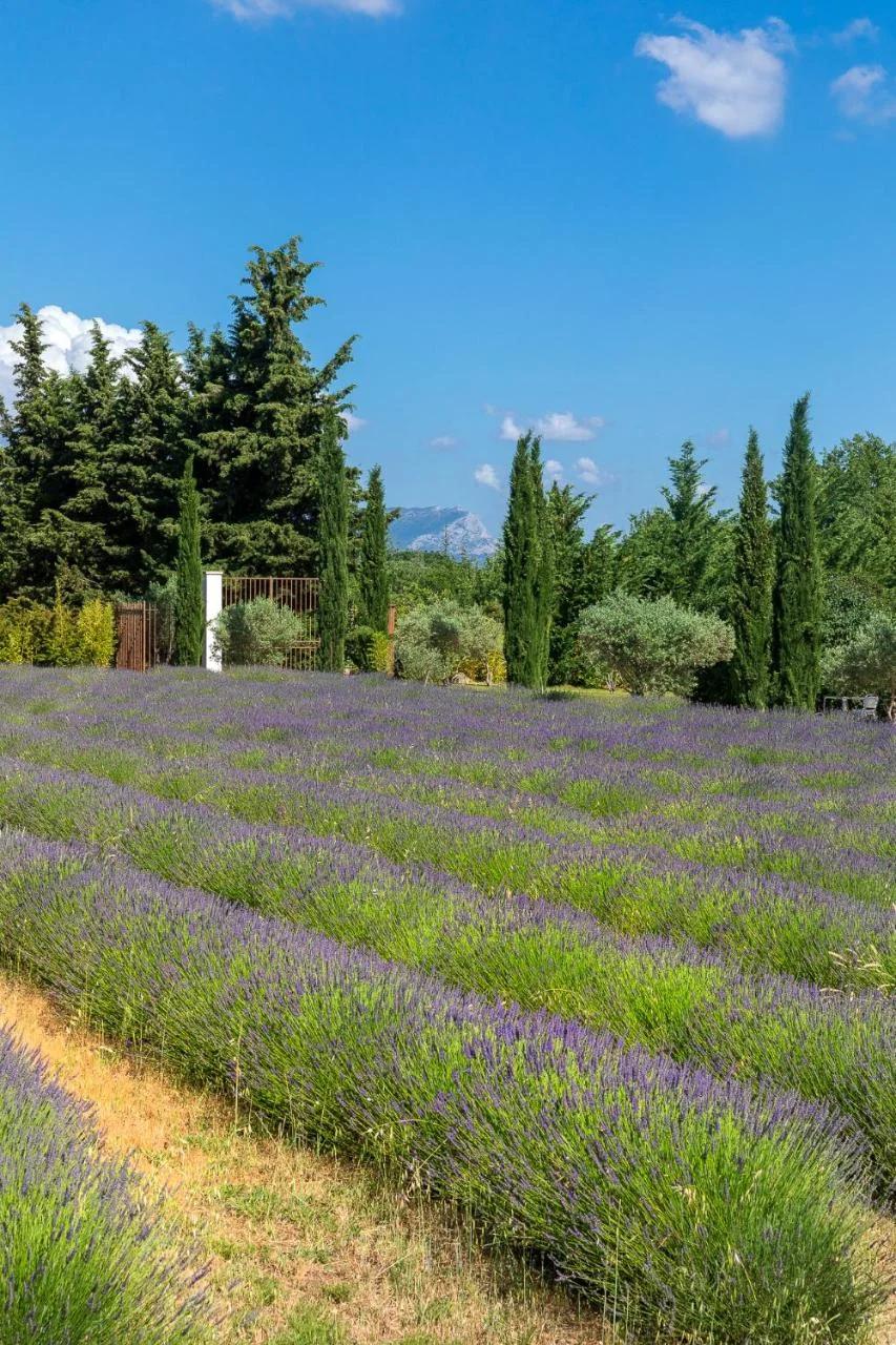 La Bastide de Damien, 5 clefs Demeure d'Exception et Table Remarquable dans le guide Teritoria, JACUZZI Privatif, Cuisine étoilée Dominique Frérard foto