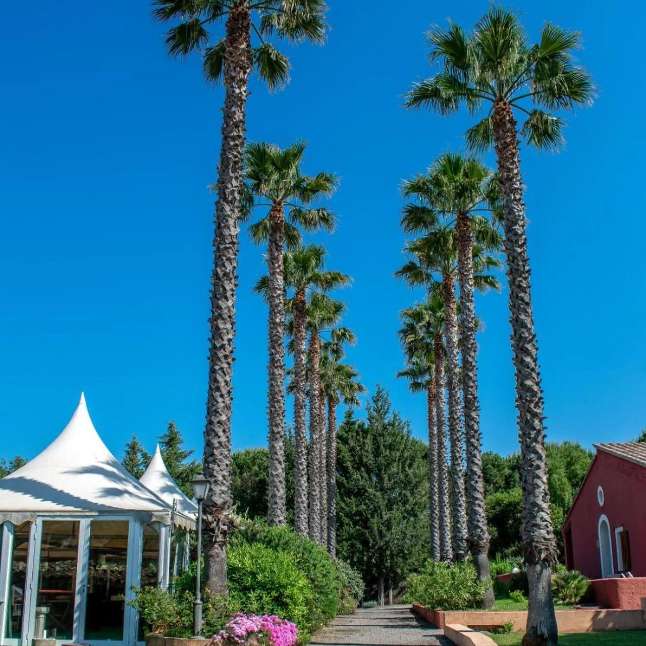 Hotel La Romarine foto