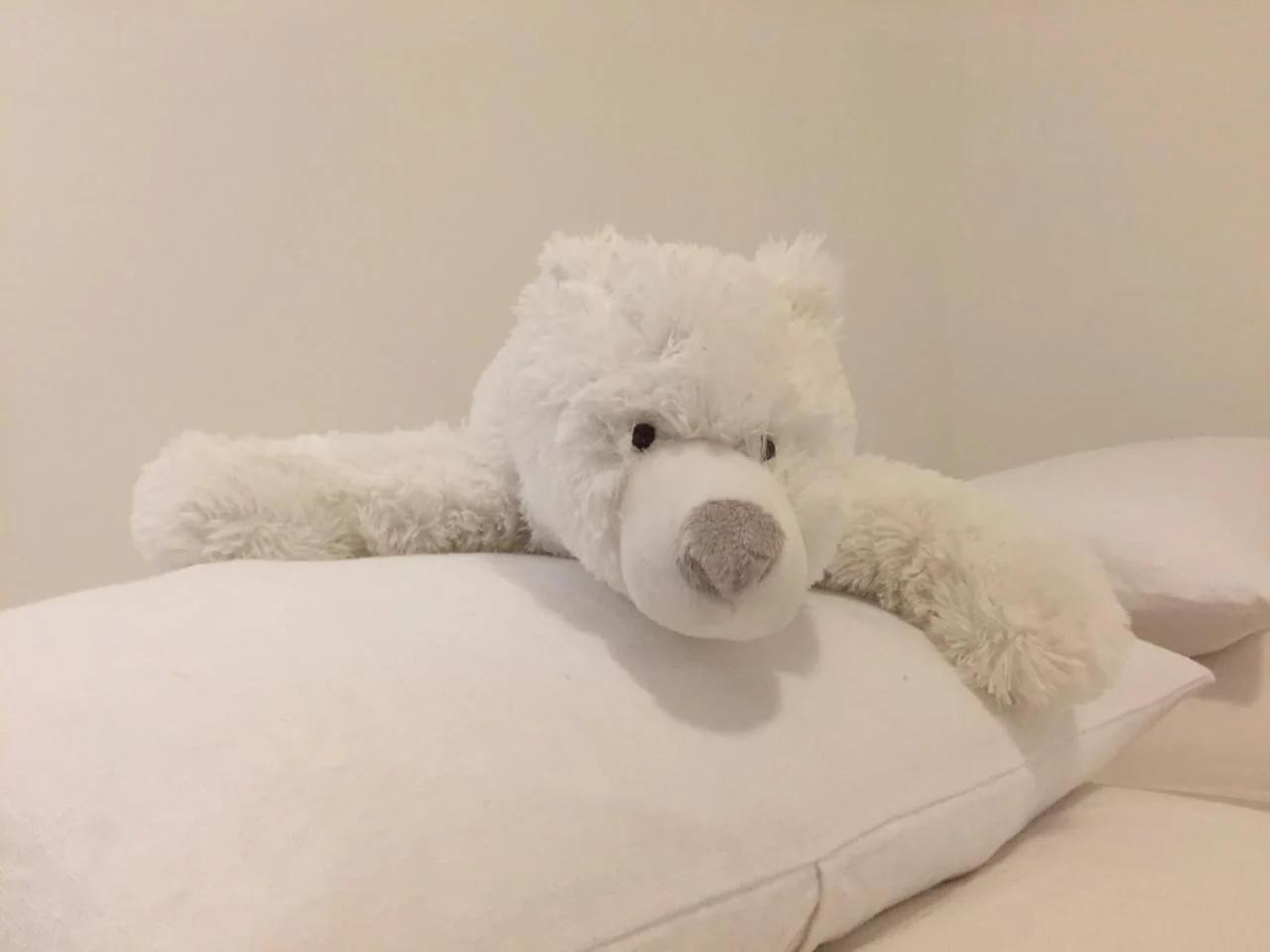 La Tanière de l'Ours Blanc Aubagne-Cassis-Aix en Provence foto