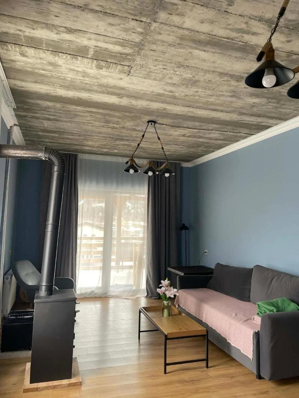 Apartment MILU photo