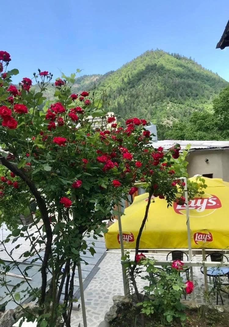 Borjomi Apartments Apart Hotel photo