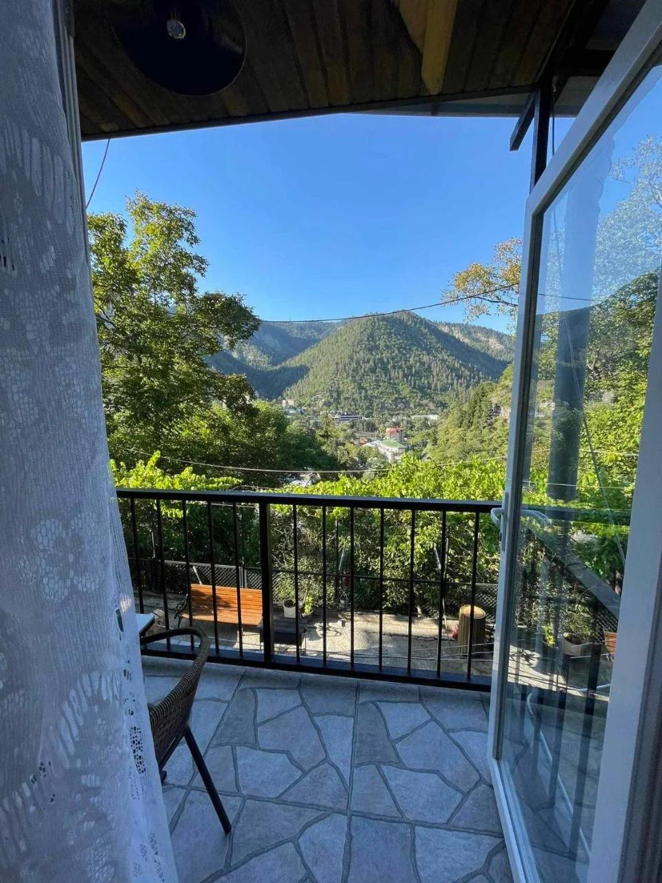 Borjomi View foto