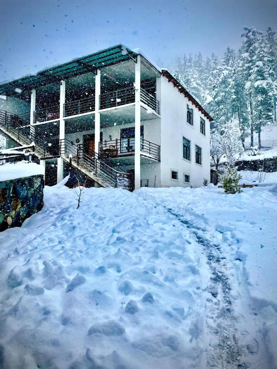 Guesthouse SHAMPRIANI photo