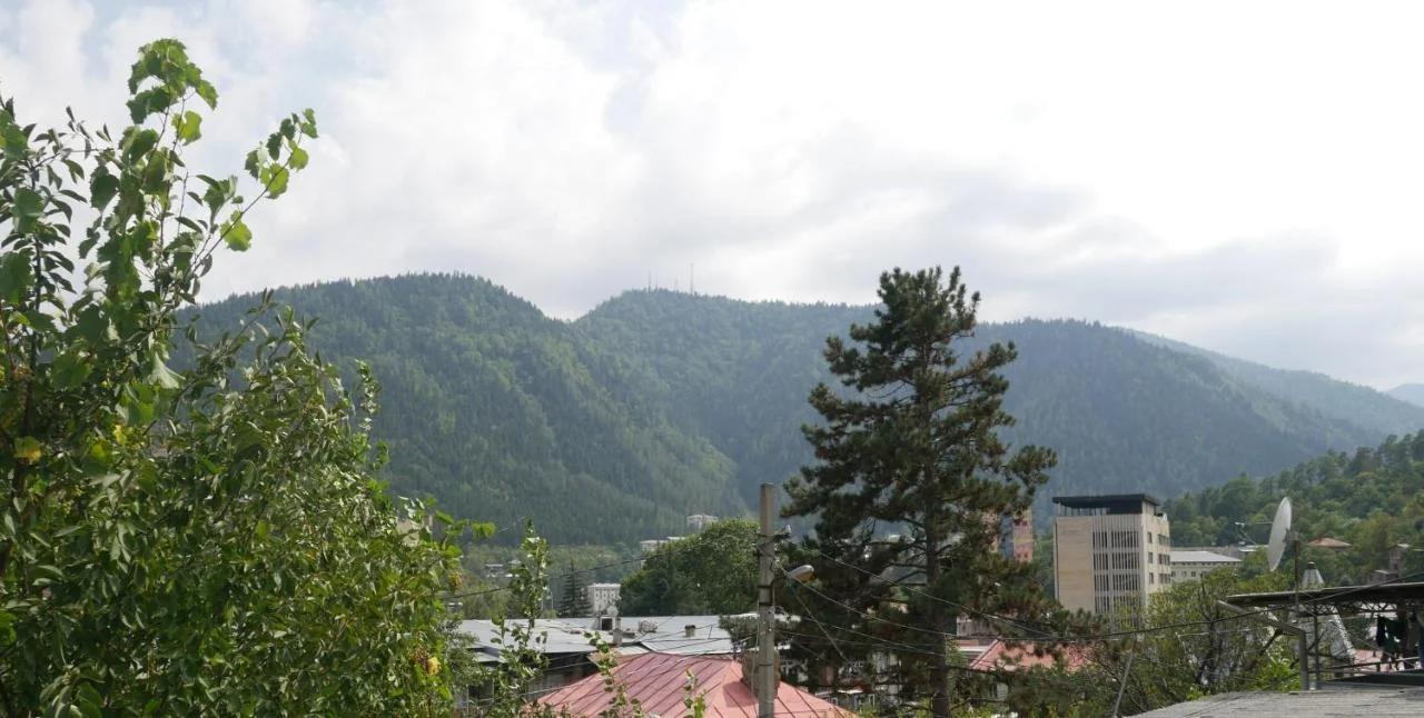 Luxury Apartment at Pirosmani 22 in central Borjomi photo