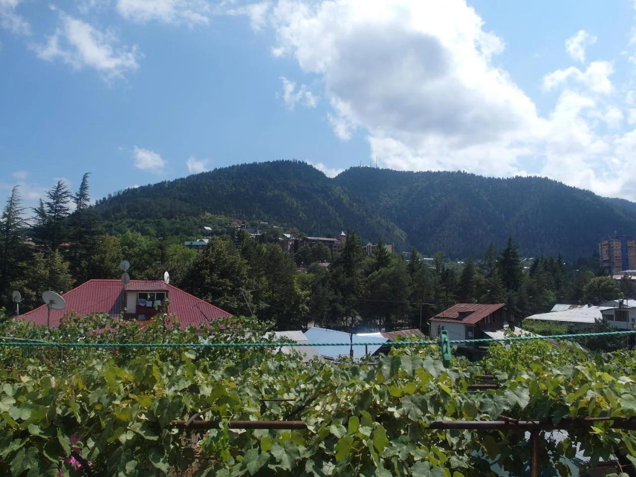 Villa Lazika photo
