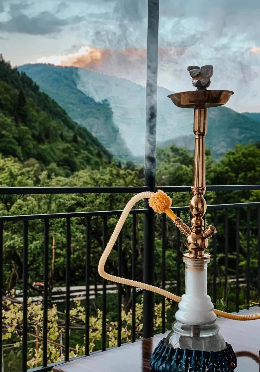 White House In Borjomi photo