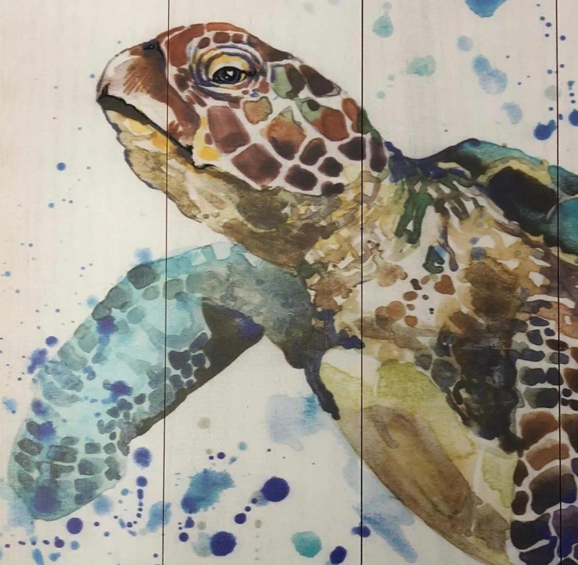 Apartment Caretta photo