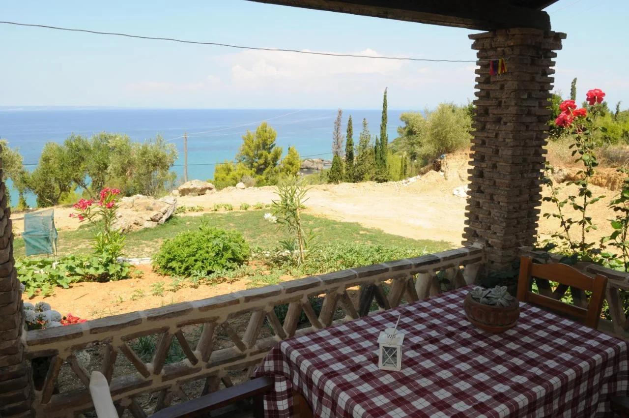 Arpyia foto